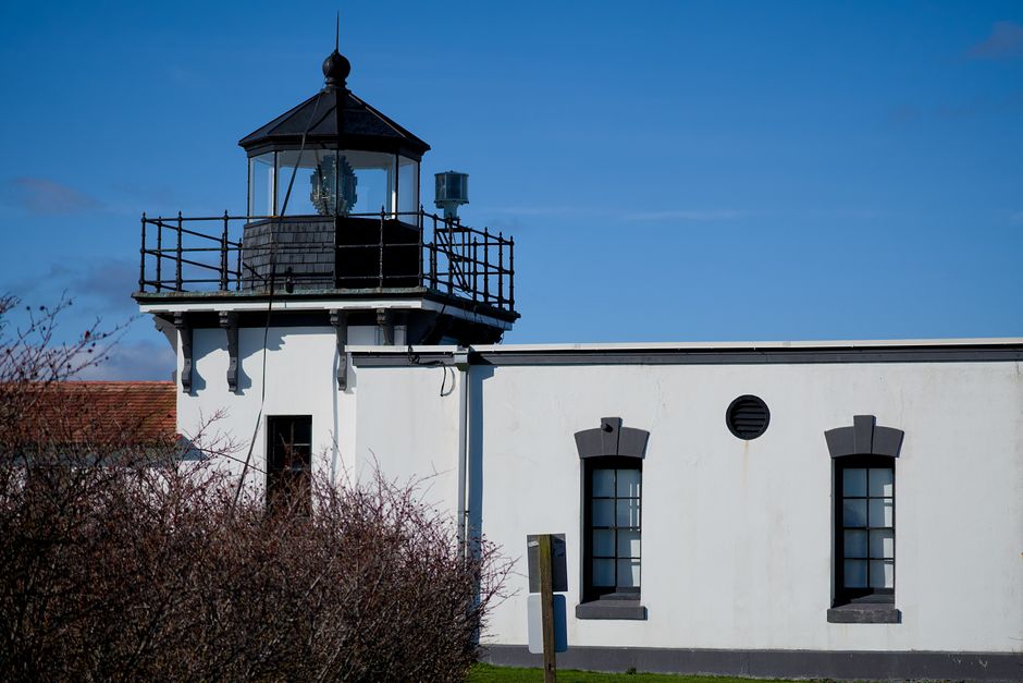 Phare blanc avec une lanterne noire, entouré de buissons, sous un ciel bleu dégagé.