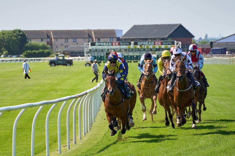Course de chevaux sur un champ verdoyant, jockeys en couleur s'affrontent sur la piste sous un ciel ensoleillé.
